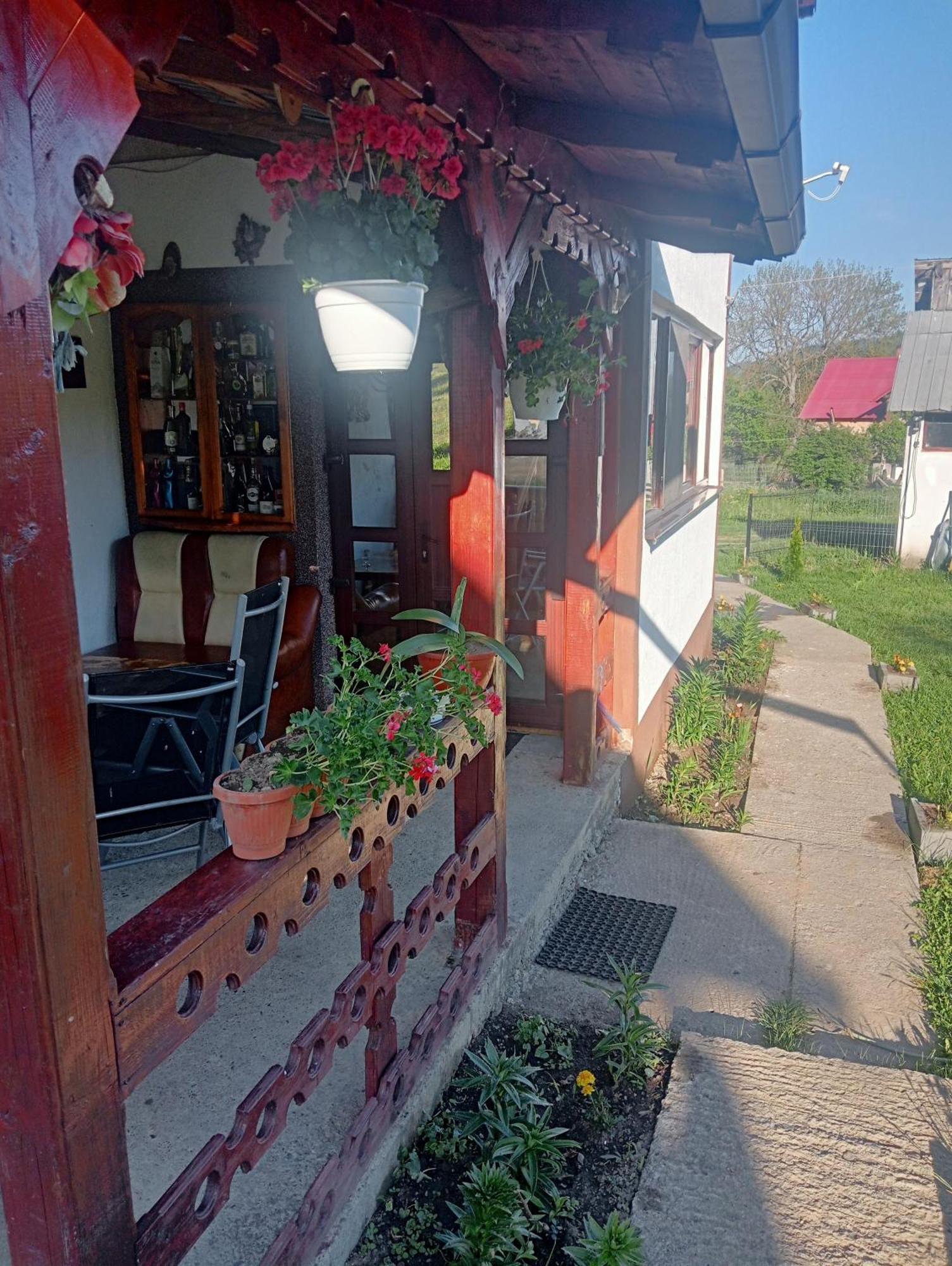Гостевой дом Casa Vasy Ватра-Дорней Экстерьер фото