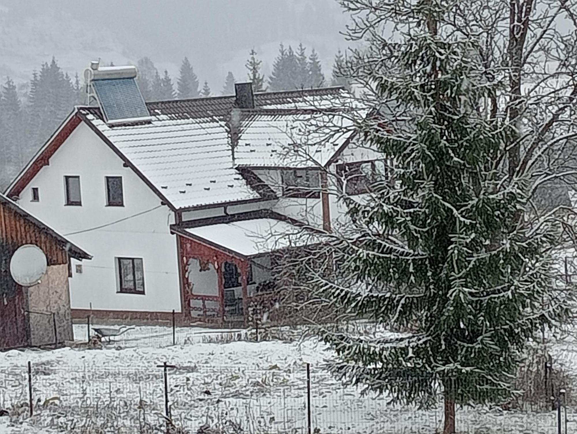 Гостевой дом Casa Vasy Ватра-Дорней Экстерьер фото